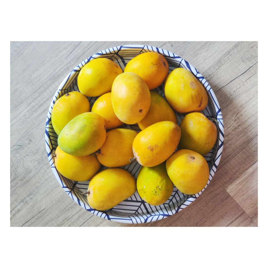 Premium Devgad Hapus Mangoes - Direct from Konkan Farms